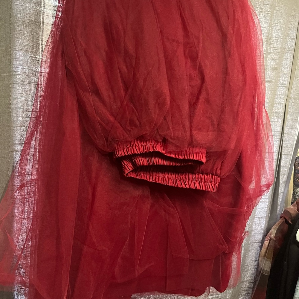 Red Tulle Skirt
